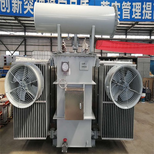 墨玉S22-2500KVA变压器